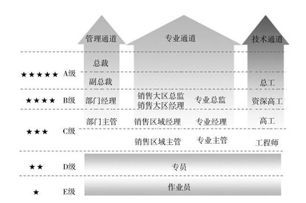 員工激勵與發展體系優化