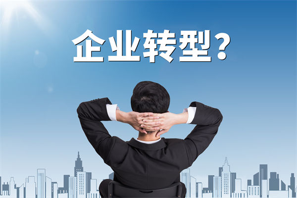 企業(yè)轉(zhuǎn)型無方向，數(shù)智化咨詢公司能否指引明路？