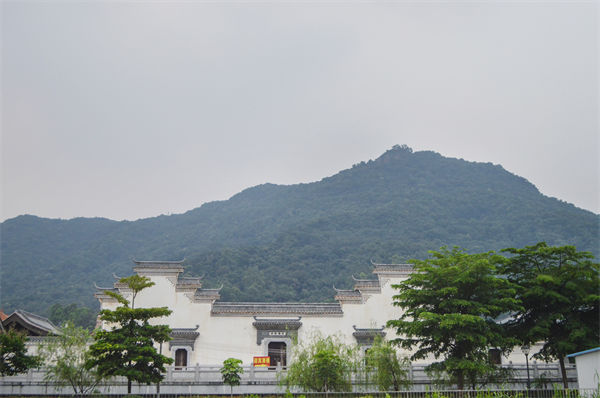 子公司各自為戰(zhàn)內(nèi)耗大，佛山集團(tuán)管控咨詢(xún)公司有何整合之道？